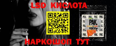 прущие грибы Новозыбков