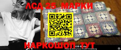 прущие грибы Новозыбков