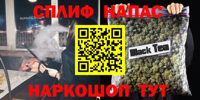 прущие грибы Новозыбков