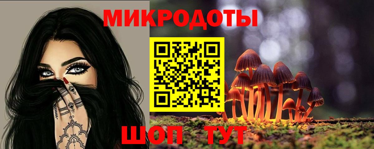 Галлюциногенные грибы Cubensis  Вход с VPN  Усть-Илимск 